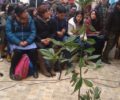 wetri (12)