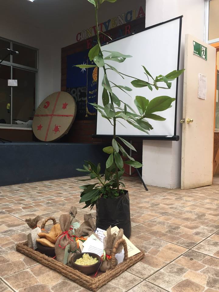 CONMEMORACIÓN DEL WE TRIPANTU 2018