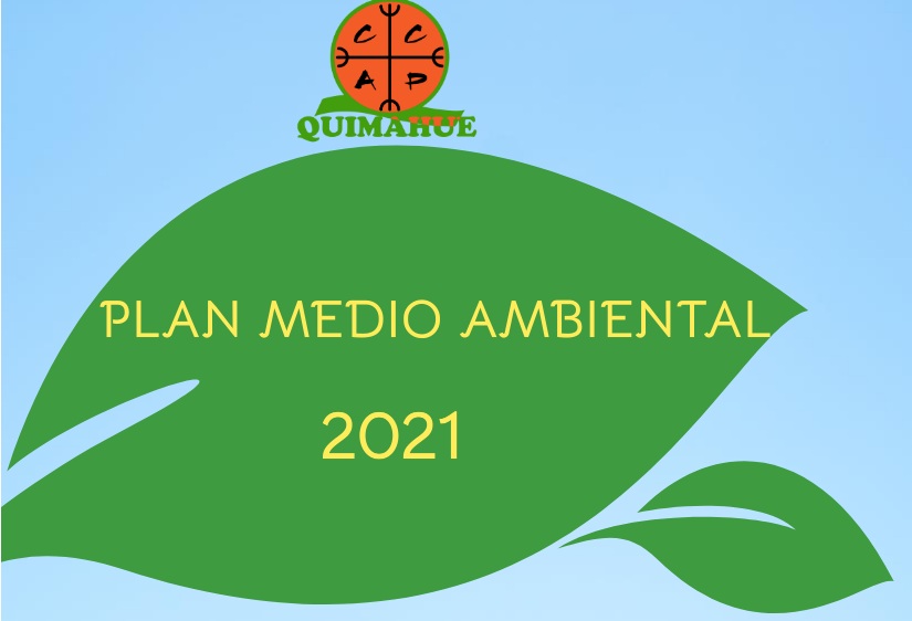 Día Internacional del Medioambiente