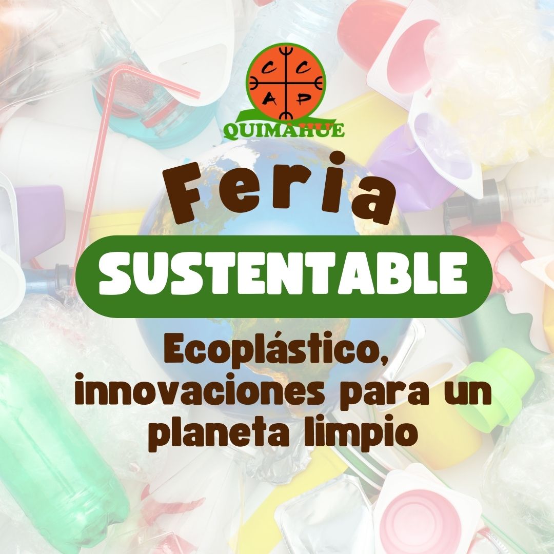 Proyecto n°3: Vinculación con el medio social. “Feria sustentable: Ecoplástico, innovaciones para un planeta limpio”