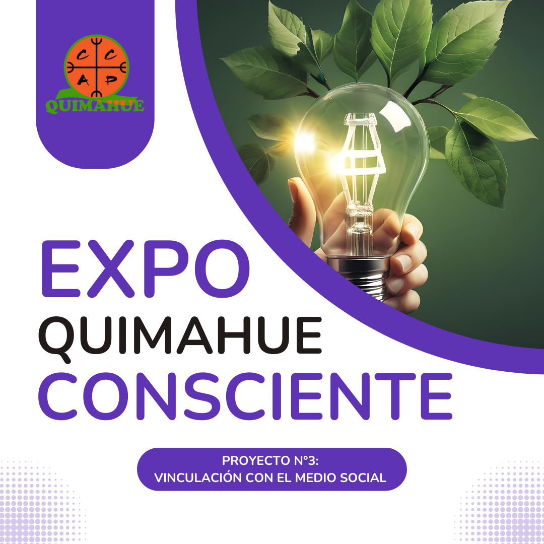 Proyecto N°3: Vinculación con el Medio Social