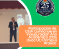 piaa (1)