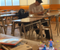 DEST (11)